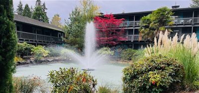 Water fountain among trees