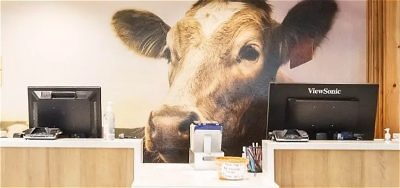 Tillamook hotel front desk with cow mural